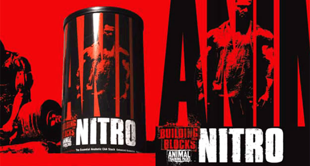 UN%20Animal%20Nitro%20+.jpg