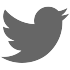 twitter-icon.png