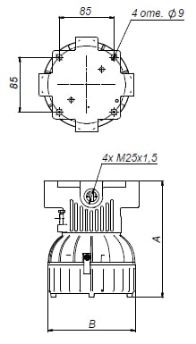 drw_p-min.jpg