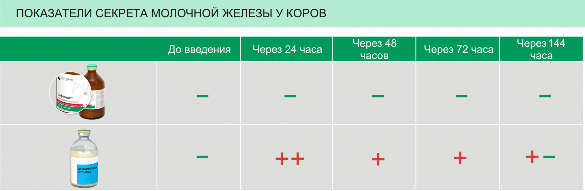 Цефтонит фото 2, Показания к применению