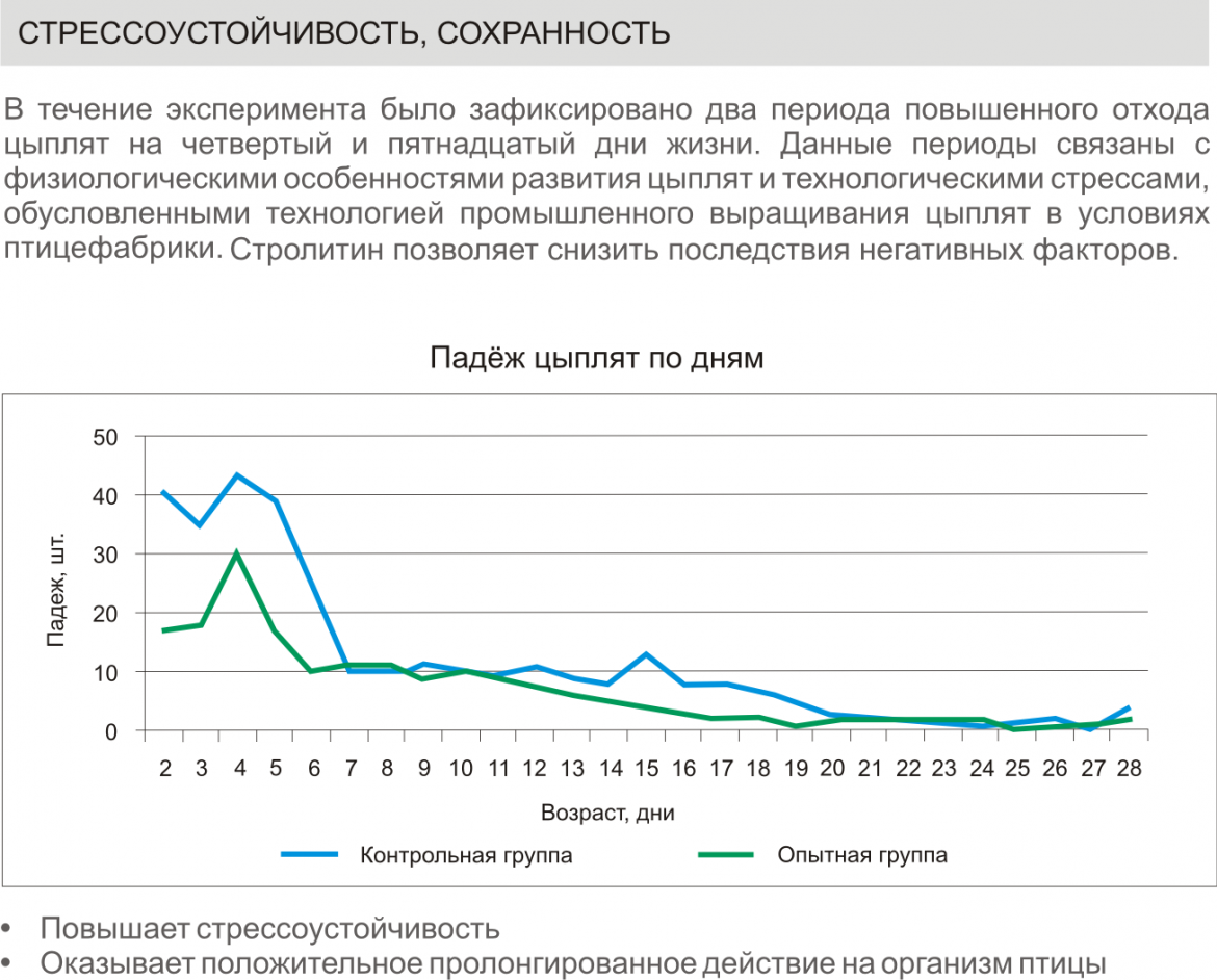 Стролитин фото 2, Показания к применению