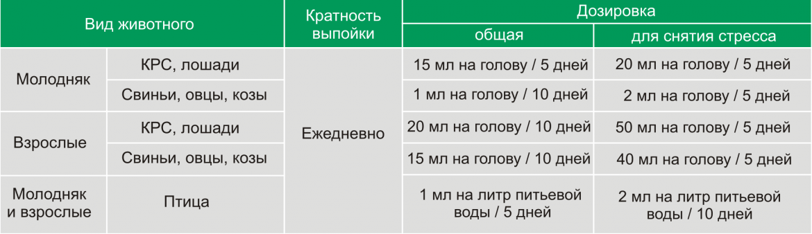 Стролитин фото, Дозировка и способ применения