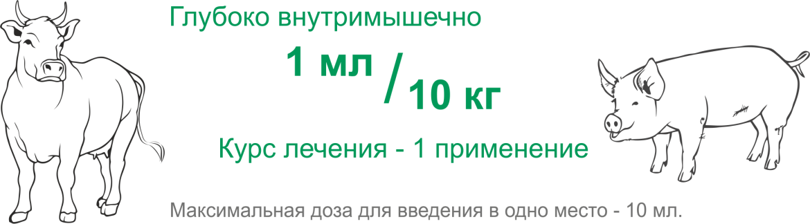 Нитокс Форте фото, Дозировка и способ применения