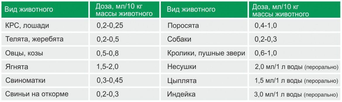 Тетрагидровит фото, Дозировка и способ применения