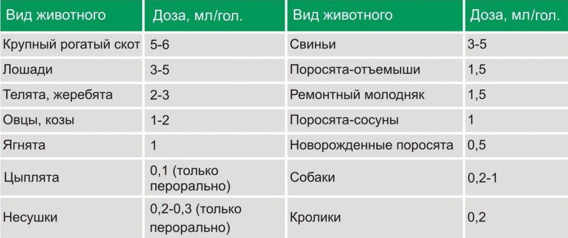 Какую дозу давать. Доза е селен телятам. Е-селен инструкция по применению для животных для телят. Е-селен для животных инструкция по применению для коз. Е селен для поросят дозировка.