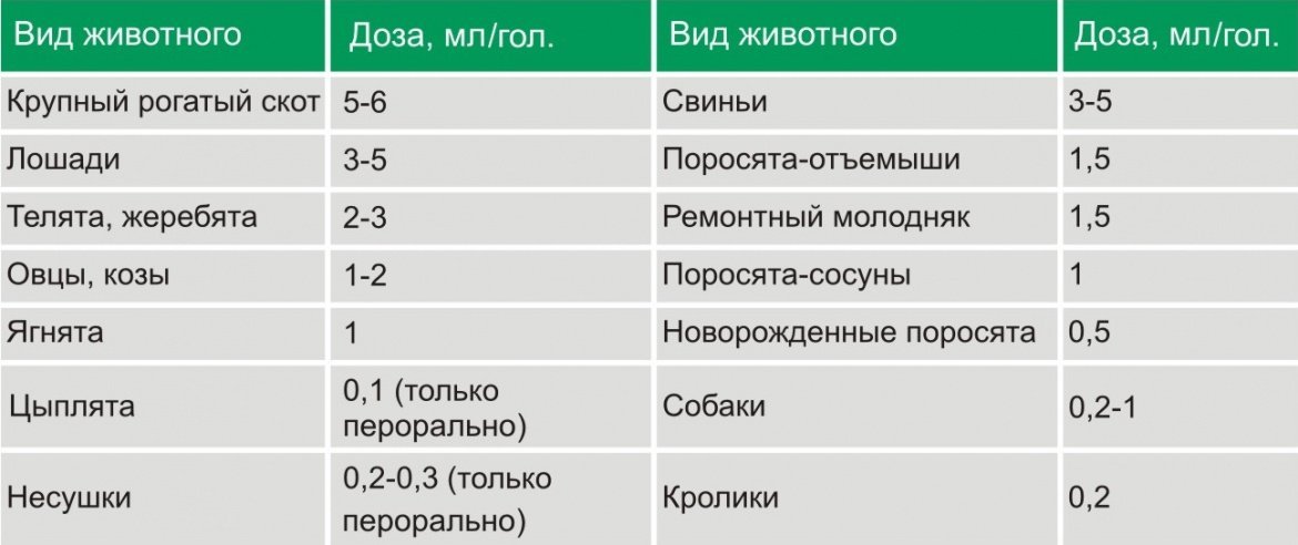 Через сколько повторно. Доза е селен телятам. Е-селен инструкция по применению для животных для телят. Е-селен для животных инструкция по применению для коз. Е селен для поросят дозировка.