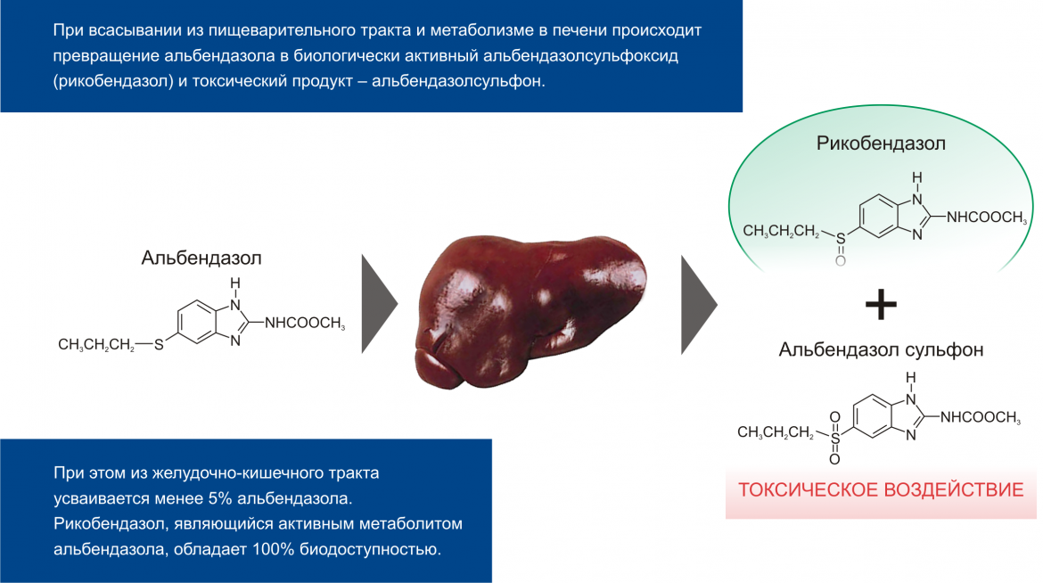 Риказол фото 3, Показания к применению