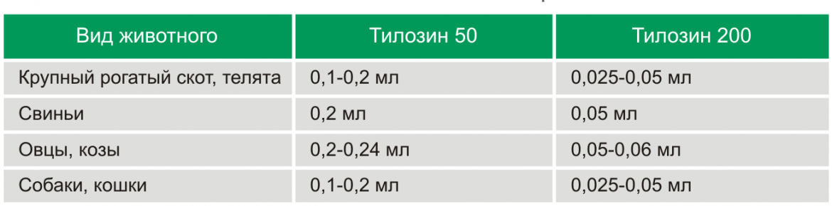 Тилозин 50,200 фото, Дозировка и способ применения