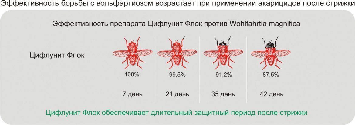 Цифлунит Флок фото, Показания к применению