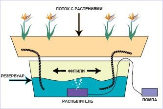 Система с фитилем (Wick system)