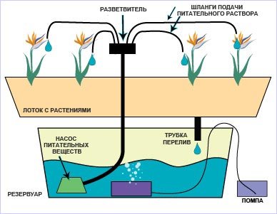 Система капельного полива (Drip System)