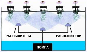 Аэропоника (Aeroponics)