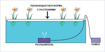 Система водной культуры (Water Culture)