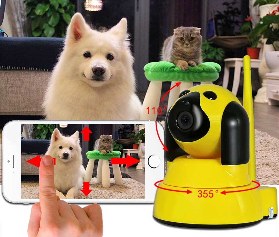 ip-cam-wi-fi-dog-banner.jpg