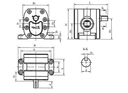 ris14.jpg